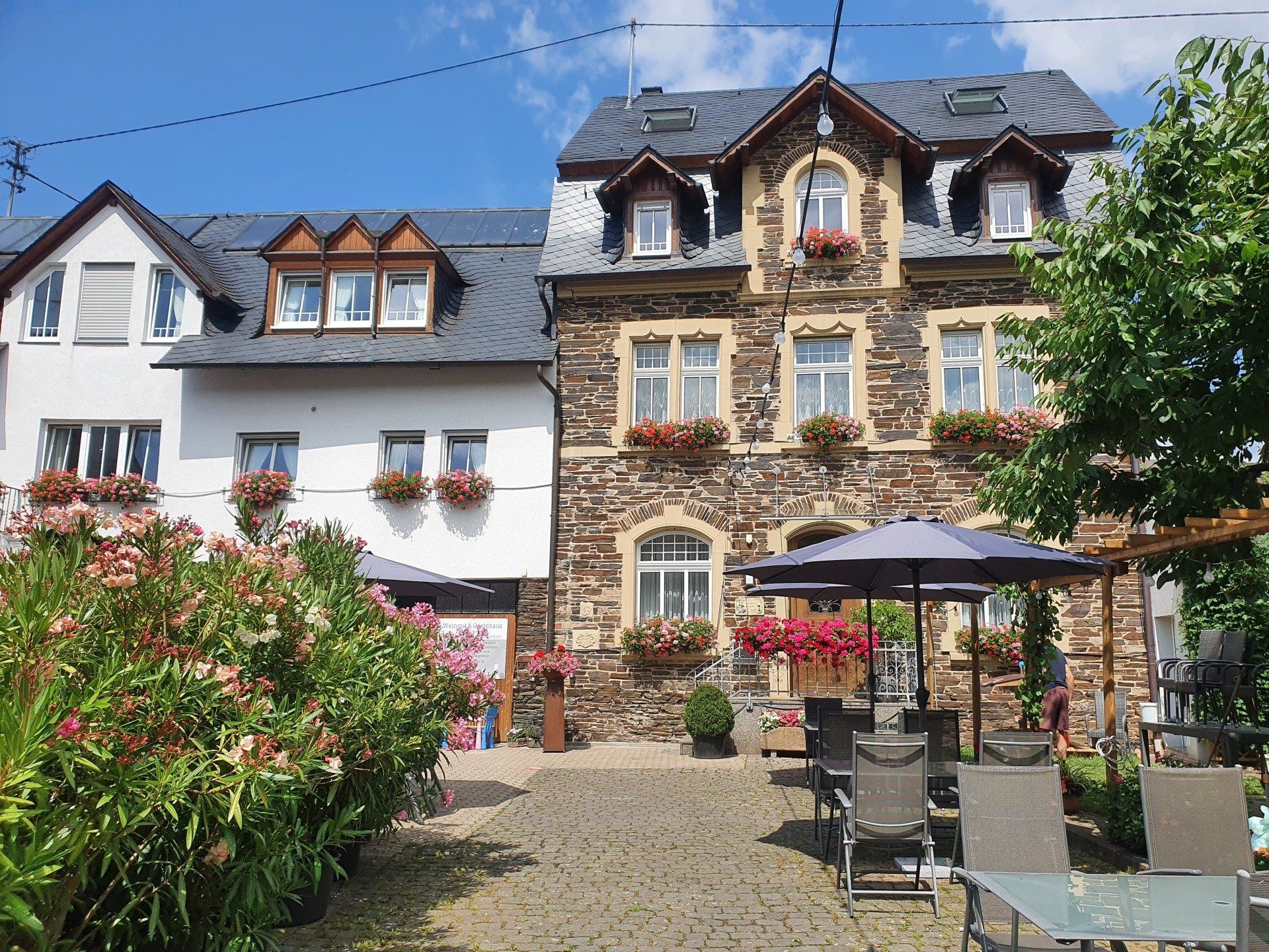 Urlaub im Weingut Kiebel in Lösnich an der Mosel