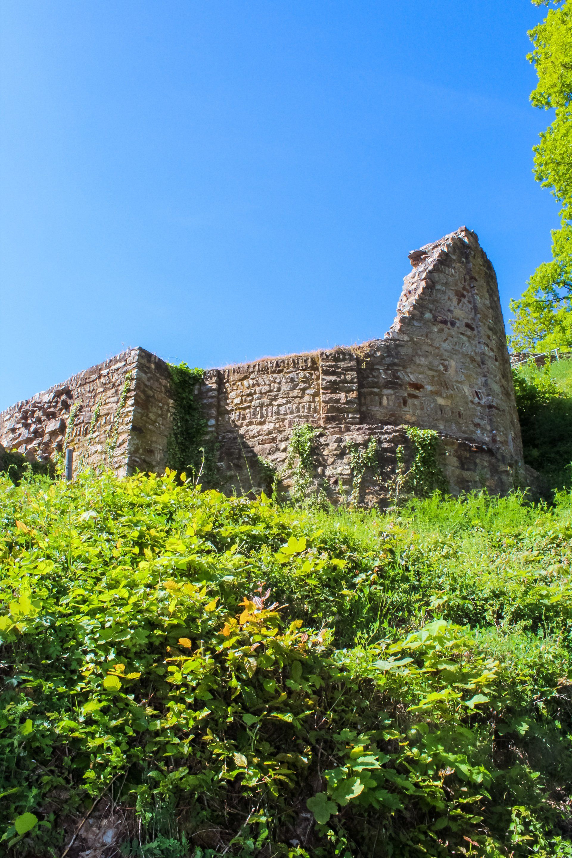 Urlaub Im Weingut Oder Weinhotel Im Nahetal