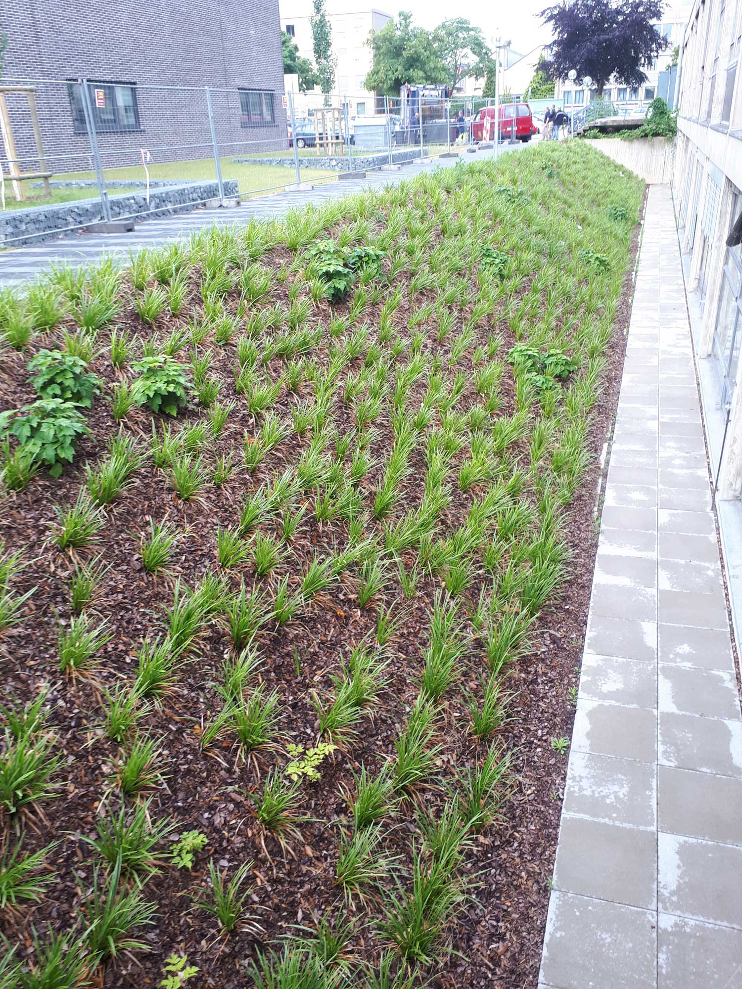 Hanganlage mit Bepflanzung