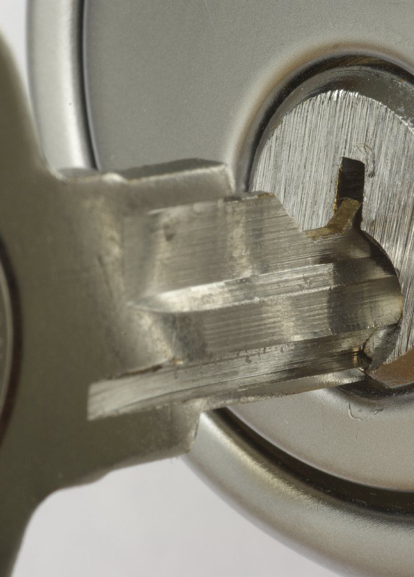 Frisch gemähter Rasen mit 2 verschiedenen Schnittlängen