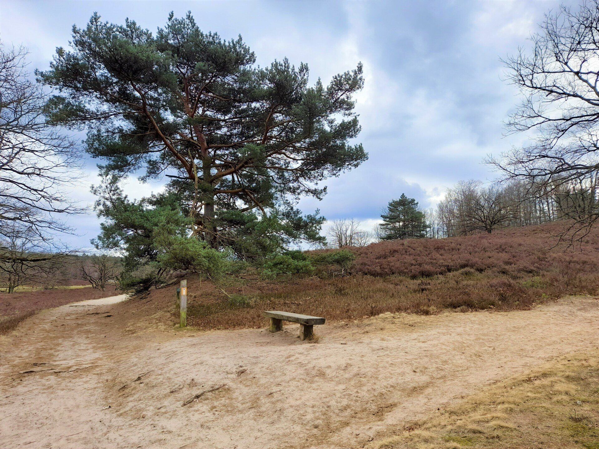 Wandern in der Fischbeker Heide