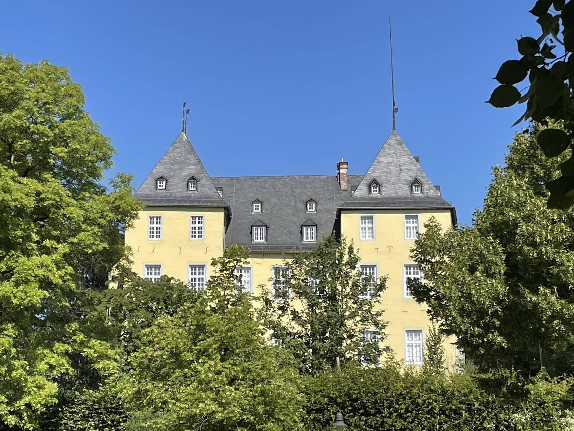 BITTNERS TEPPICHREINIGUNG ALFTER TEPPICHWÄSCHEREI