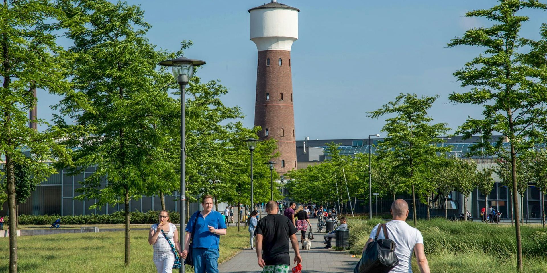 KÖLN | Teppichreinigung | Teppichwäscherei| KALK