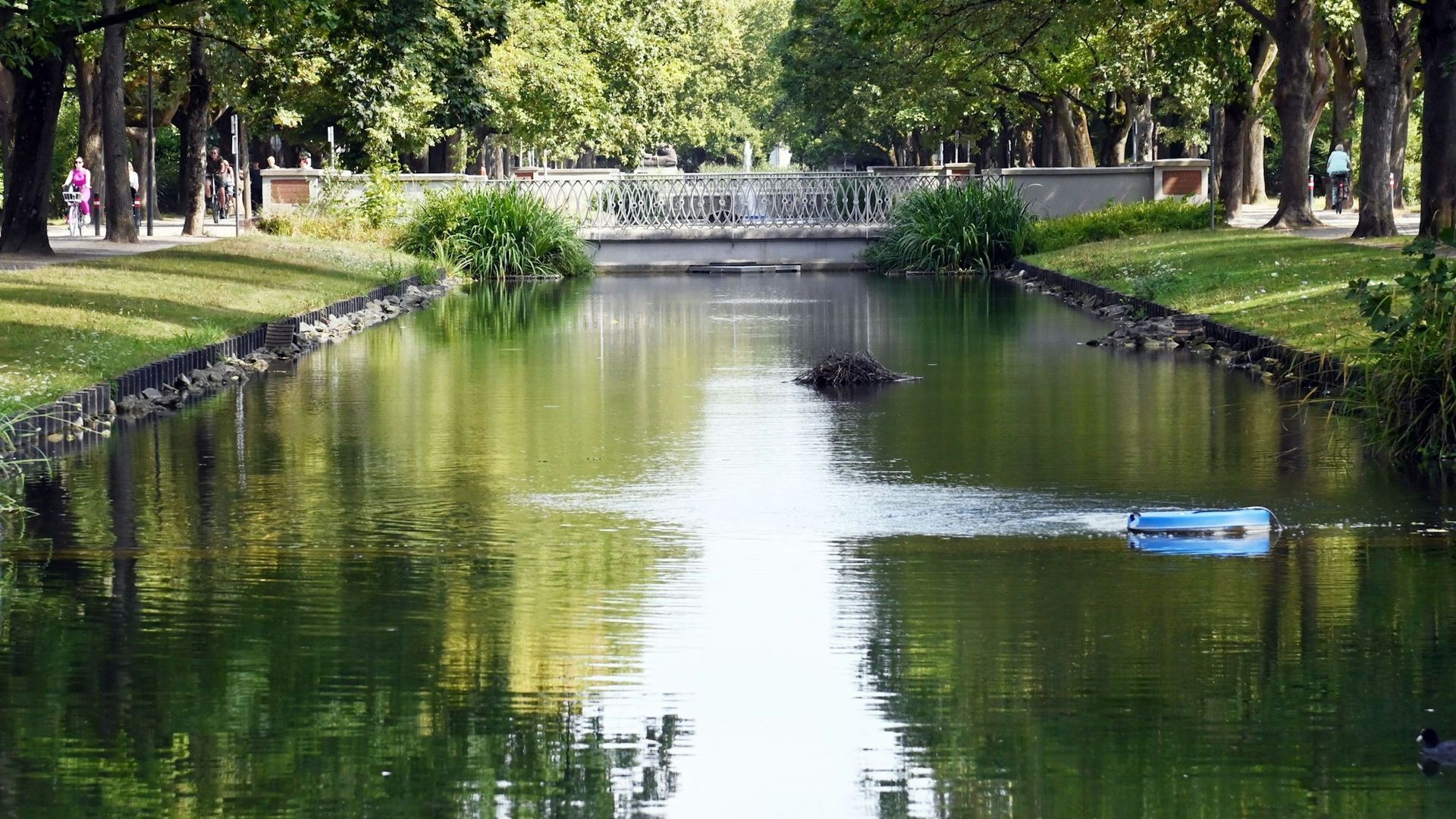 KÖLN | Teppichreinigung | Teppichwäscherei | LINDENTHAL