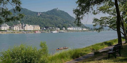 BITTNERS TEPPICHREINIGUNG KÖNIGSWINTER TEPPICHWÄSCHEREI