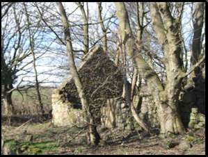 Rodanbraes Cottage - inspired the ruined meeting place.