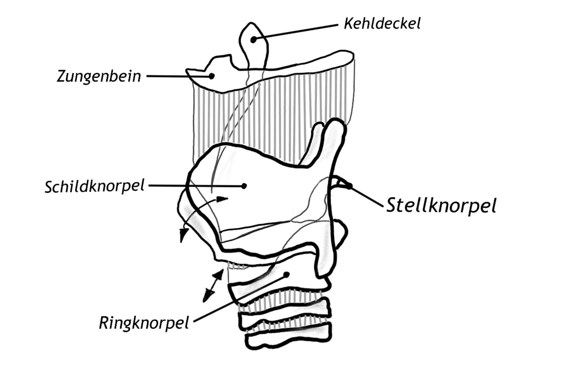 stimm.me