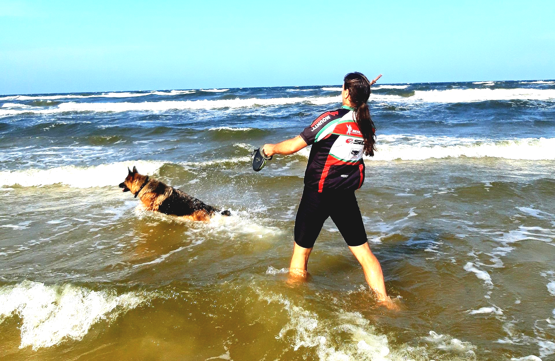 Hundetraining Hundeschule Neubrandenburg, Neustrelitz