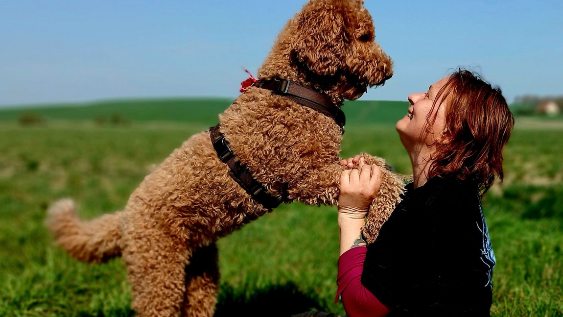 Hundetrainer im Raum Neubrandenburg & Neustrelitz