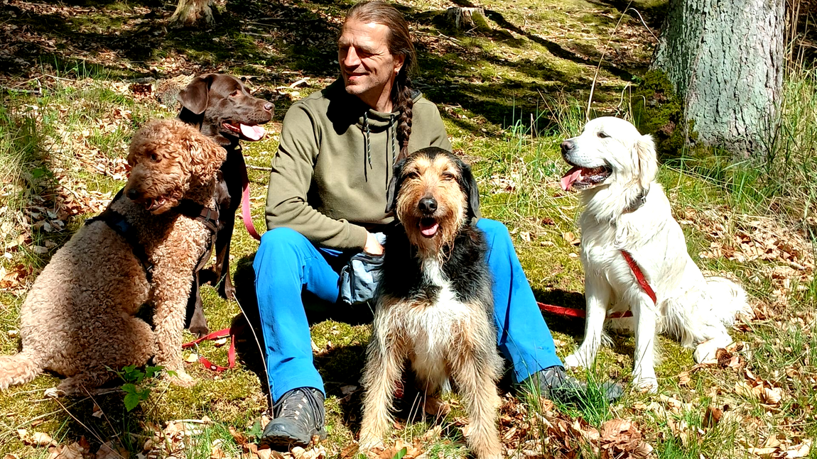 Hundeschule & Gassiservice Hunde-Schnack, dein Experte für Hunde im Raum Neubrandenburg & Neustrelitz