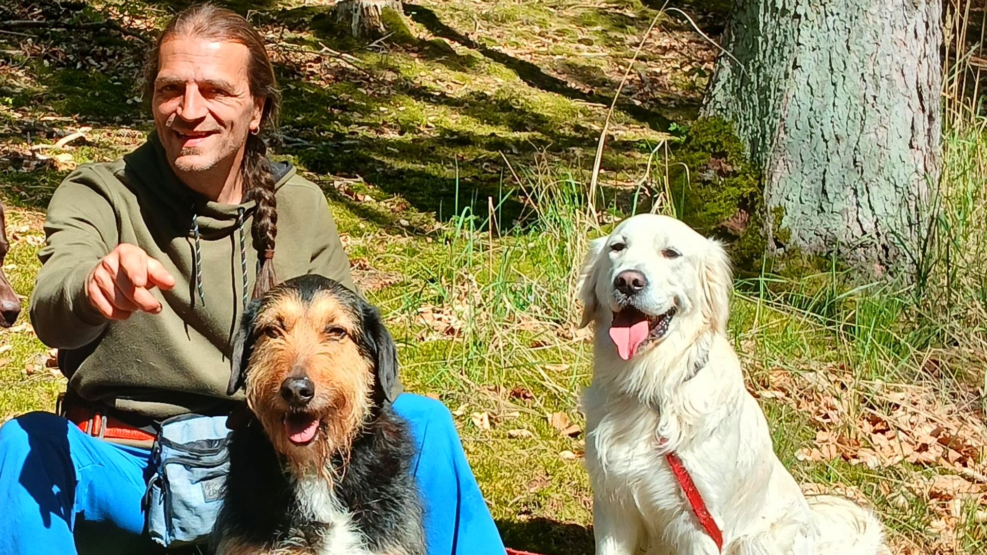 Hundeschule Raum Neubrandenburg und Neustrelitz