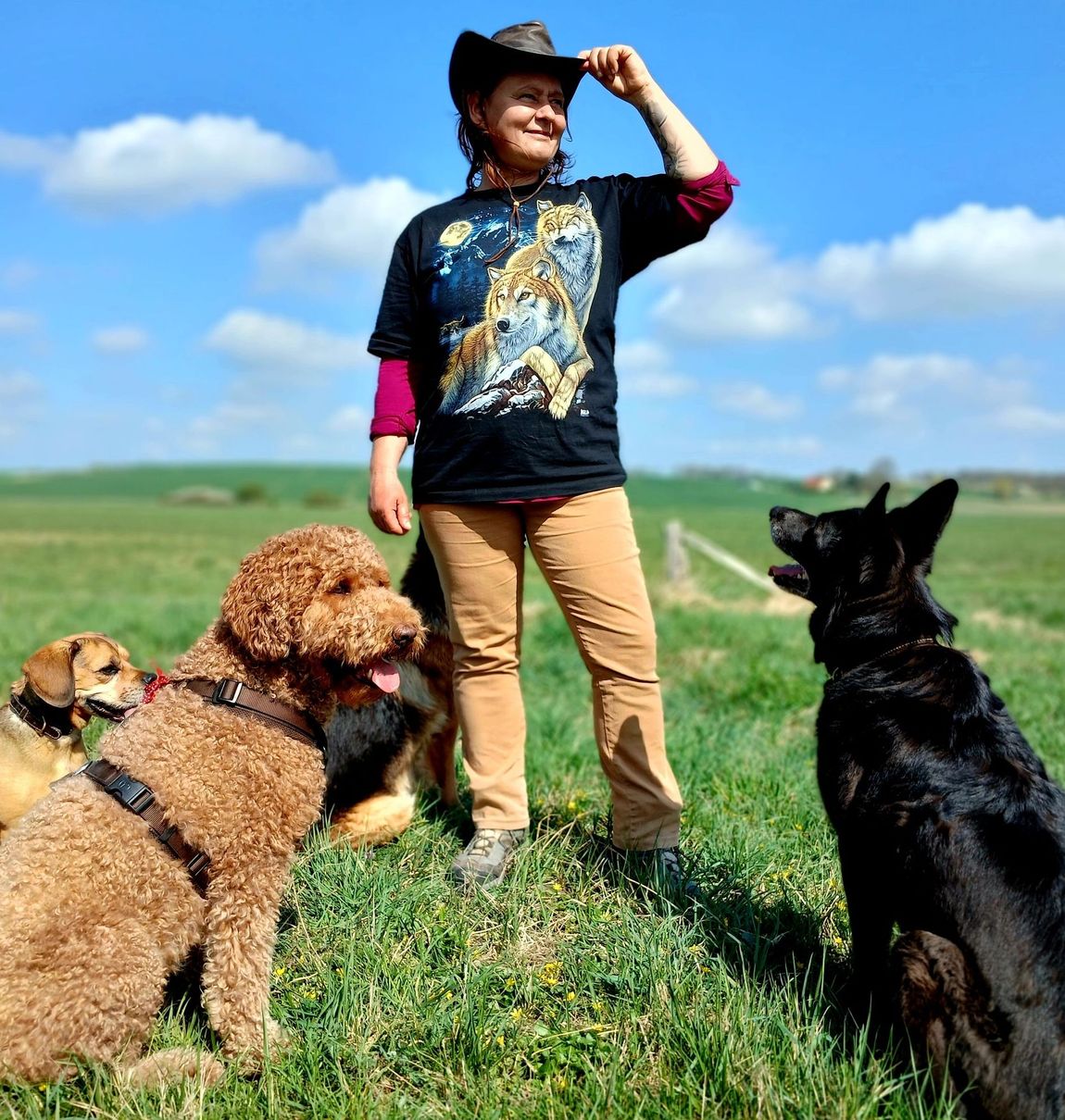 Hundeschule Raum Neubrandenburg und Neustrelitz