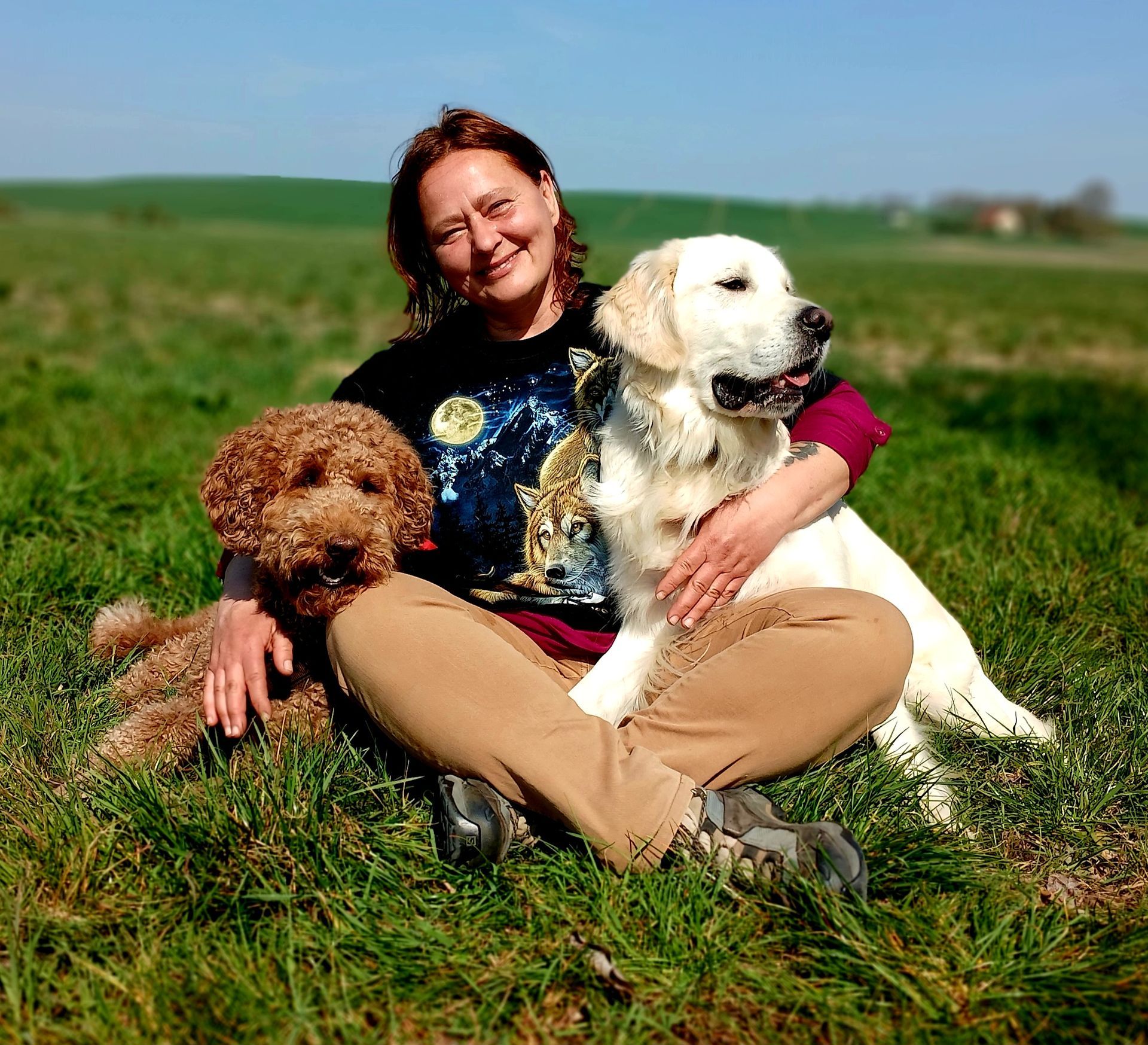Hundetraining Neubrandenburg Hundetrainer Neubrandenburg und Neustrelitz
