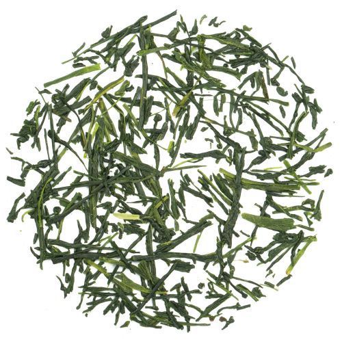 Gyokuro Kusanagi Bio