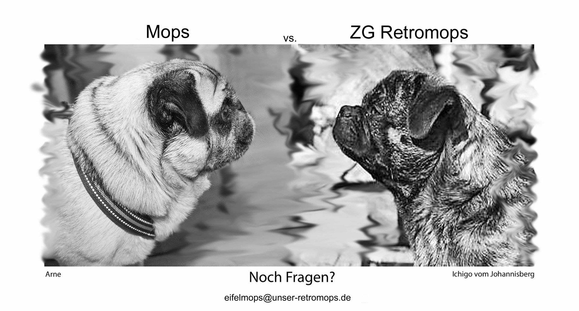 Mops vs. ZG Retromops