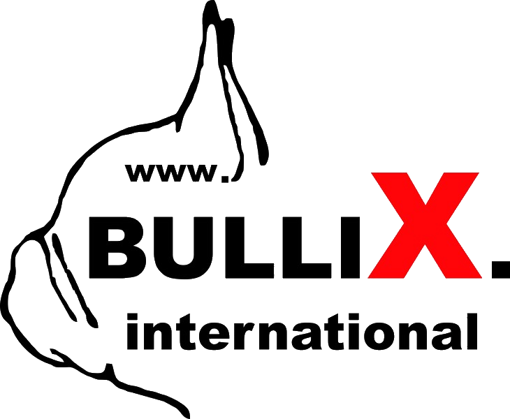 BulliX™ International Logo