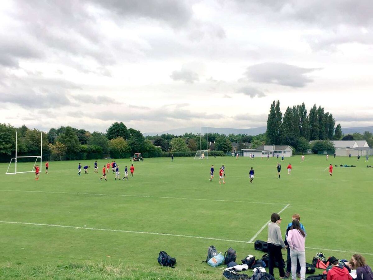 Auslandsjahr Irland Switch You Rugby Spiel auf grünem Spielfeld