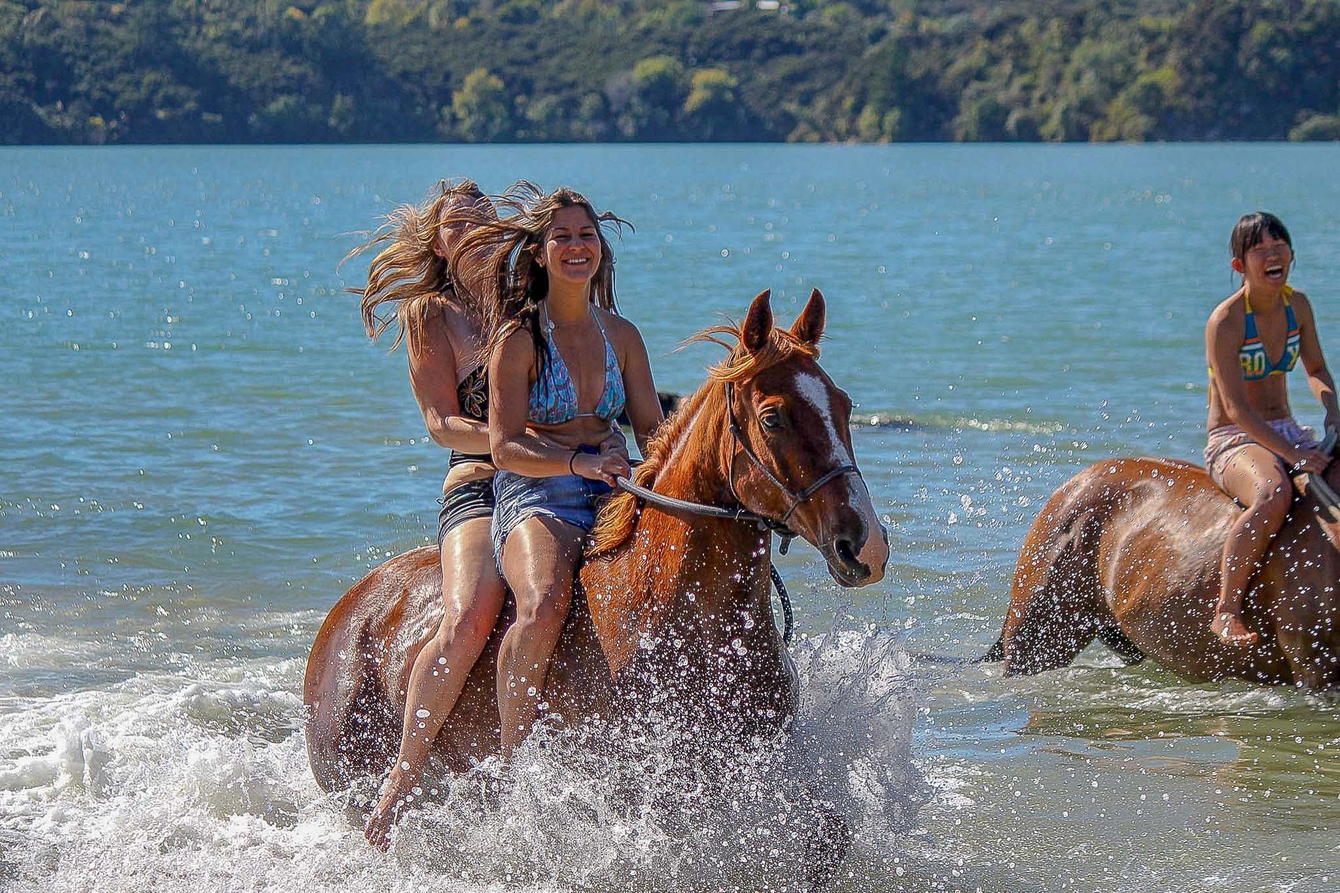Schüleraustausch Neuseeland Horseriding