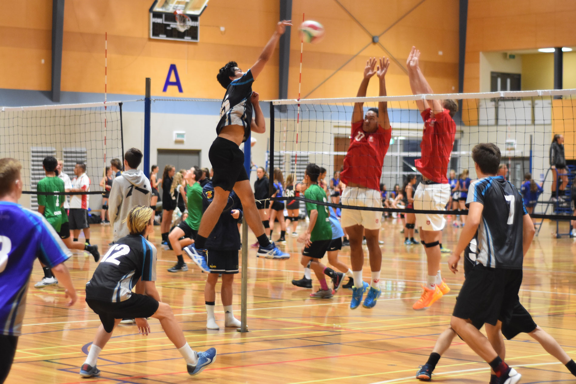 Auslandsjahr Neuseeland Volleyball