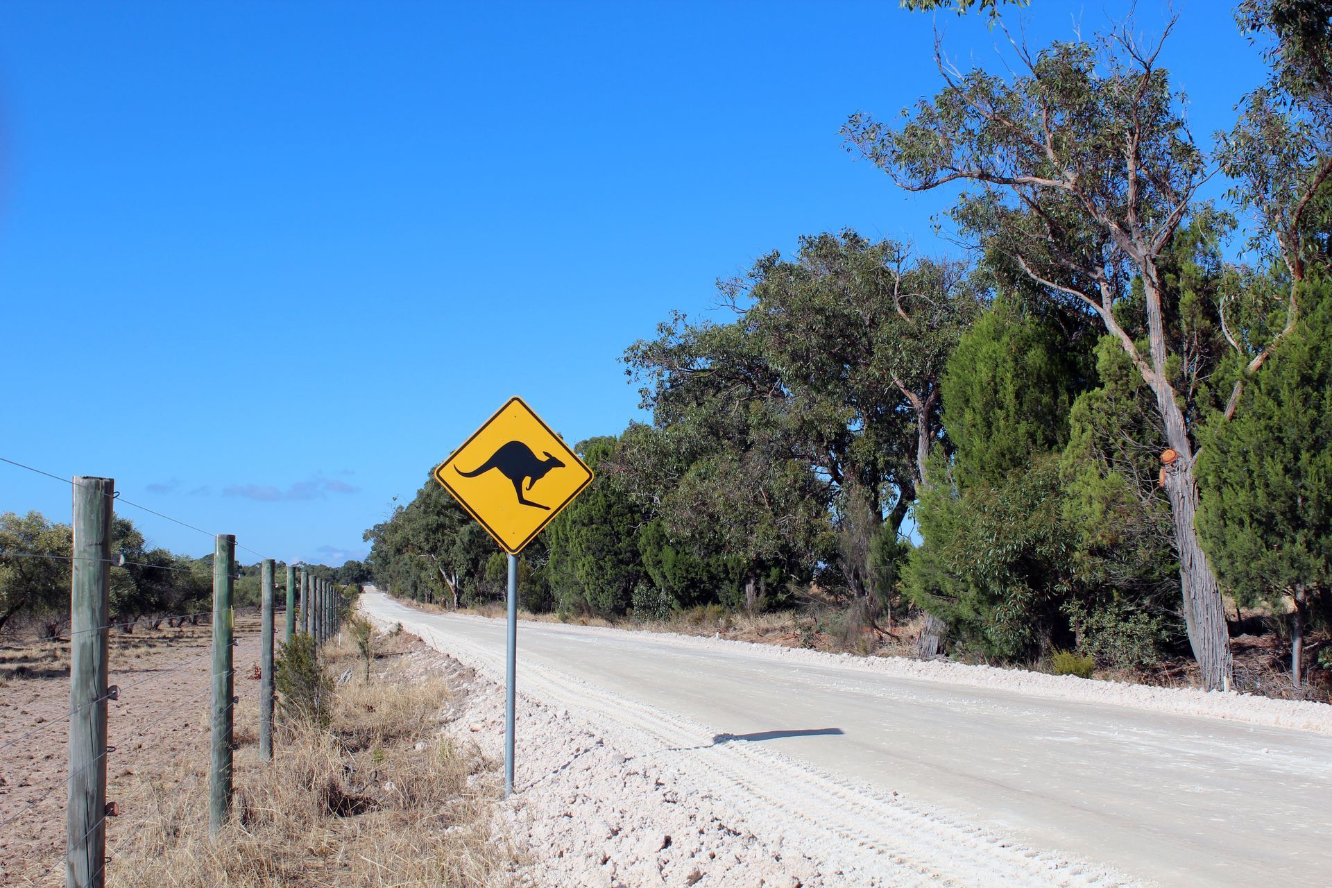 Highschool Australien Straße in Australien mit Känguru Straßenschild