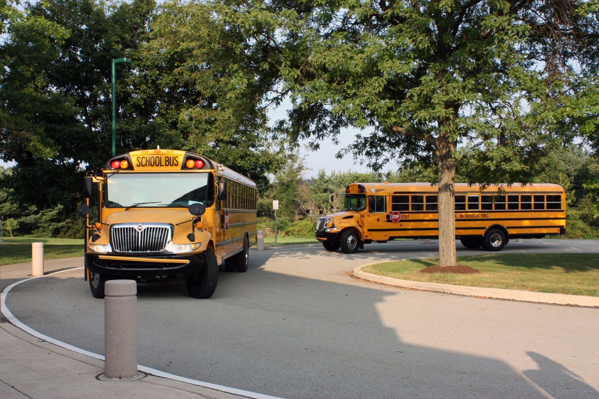 Schüleraustausch USA Switch You Amerikanische Schulbusse stehen auf Straße