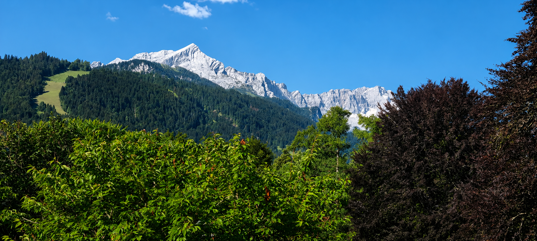 Immobilien Kuchenbauer - Garmisch-Partenkirchen - großes naturbelassenes Grundstück mit charaktervollem Bestandsgebäude in Partenkirchen