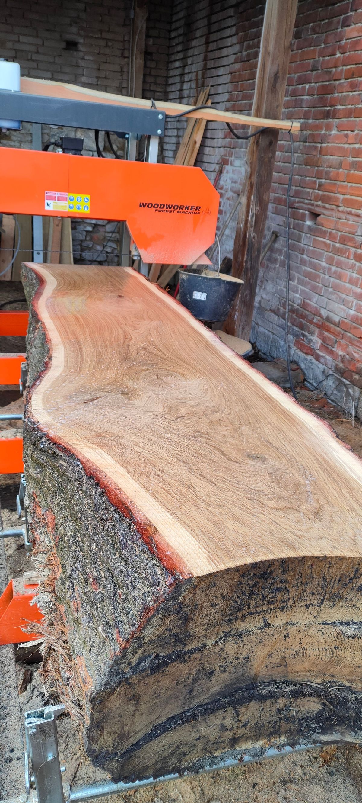 Massive Eichenbohle mit Naturkante