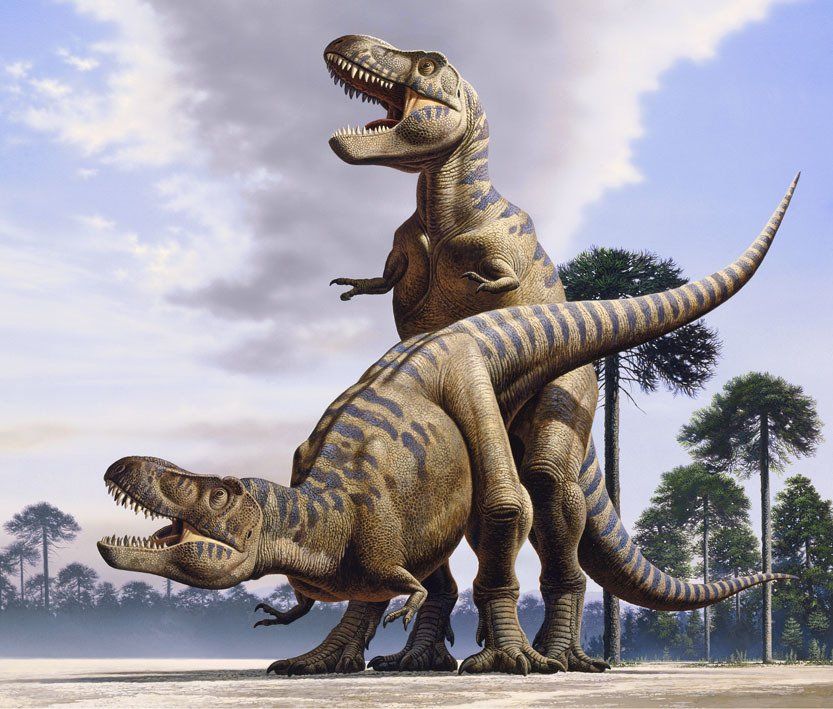 Tyrannosaurus, acrílico,  alosaurio,  ámbar,  amonita,  anfibios,  anquilosaurio,  Apatosaurio arenisca,  arqueopterix,  art for sale, belemnita,  biología, biology,  caliza,  Carbon, carbonífero, cavernario,  ciprés, conífera, coprolito,  cretáceo,  Cretácico,  dientes, dinosaurio,  dinosaurus,  dinoterio,  diplodoco,  diplodocus, edad geológica,  eoceno estegosaurio, forest, fósil,  Fosilizado.  geología,  geólogo, geology,  gliptodonte,  helecho,  huesos,  Ichthyosauria ictiosaurio, ignita iguanodonte,  illustration,  illustrator,  ilustración,  jungle,  Jurásico Jurassic,  mamut,  mastodonte, oleo,  Orginal Artwork,  paleo botánica, paleo botany,  paleoart,  paleobotánica,  Paleontología,  paleontólogo,  paleozoología, palustre, pencil art,  Permicodevonico,  plesiosaurio, plioceno,  pliosaur,  prehistoria,  prehistórico,  pterodáctilo,  pterosaurio,  raíces,  reptiles,  sauropodo,  secuoya, struthiominus,  swamp,  terópodo, tetrápodo, tiranosaurio,  Triásico, Triassic, triceratops,  Tyrannosaurus rex, vertebrado,  yacimiento,  devonico, carbonifero, permico, 