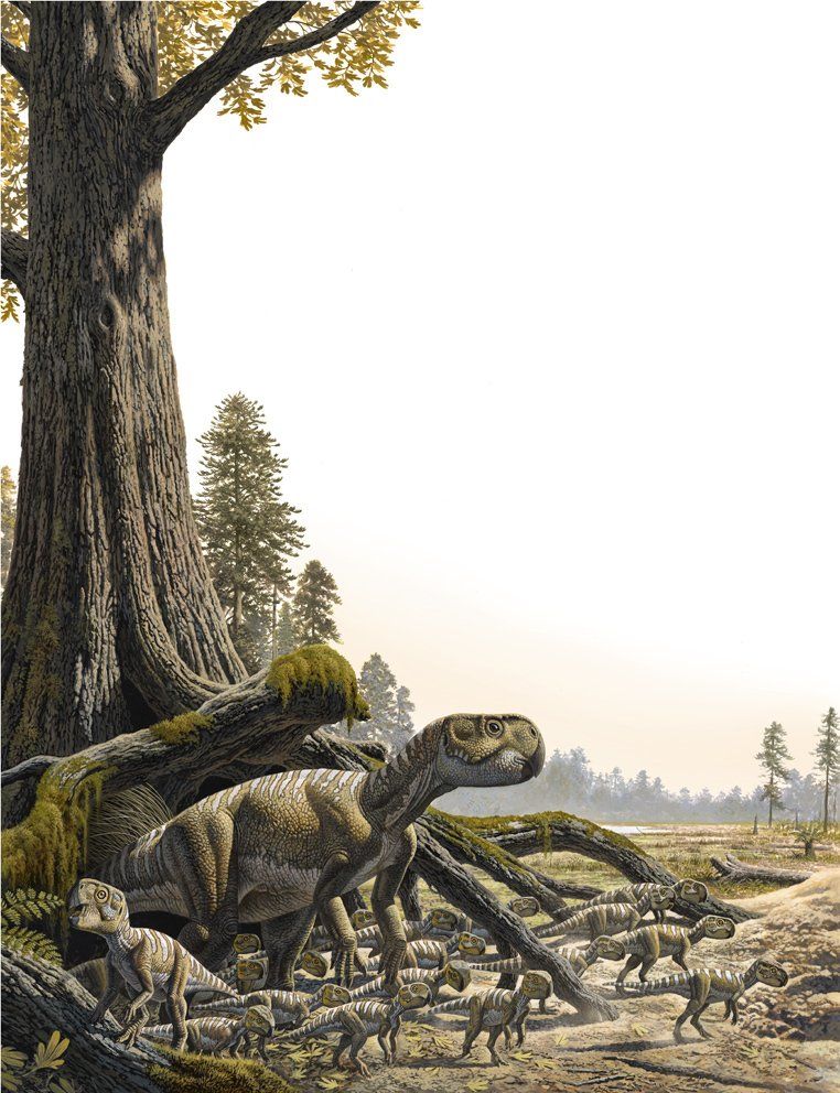 Psittacosaurus, acrílico,  alosaurio,  ámbar,  amonita,  anfibios,  anquilosaurio,  Apatosaurio arenisca,  arqueopterix,  art for sale, belemnita,  biología, biology,  caliza,  Carbon, carbonífero, cavernario,  ciprés, conífera, coprolito,  cretáceo,  Cretácico,  dientes, dinosaurio,  dinosaurus,  dinoterio,  diplodoco,  diplodocus, edad geológica,  eoceno estegosaurio, forest, fósil,  Fosilizado.  geología,  geólogo, geology,  gliptodonte,  helecho,  huesos,  Ichthyosauria ictiosaurio, ignita iguanodonte,  illustration,  illustrator,  ilustración,  jungle,  Jurásico Jurassic,  mamut,  mastodonte, oleo,  Orginal Artwork,  paleo botánica, paleo botany,  paleoart,  paleobotánica,  Paleontología,  paleontólogo,  paleozoología, palustre, pencil art,  Permicodevonico,  plesiosaurio, plioceno,  pliosaur,  prehistoria,  prehistórico,  pterodáctilo,  pterosaurio,  raíces,  reptiles,  sauropodo,  secuoya, struthiominus,  swamp,  terópodo, tetrápodo, tiranosaurio,  Triásico, Triassic, triceratops,  Tyrannosaurus rex, vertebrado,  yacimiento,  devonico, carbonifero, permico, 