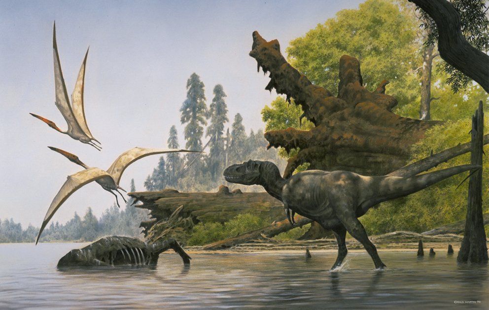 Albertosaurus, acrílico,  alosaurio,  ámbar,  amonita,  anfibios,  anquilosaurio,  Apatosaurio arenisca,  arqueopterix,  art for sale, belemnita,  biología, biology,  caliza,  Carbon, carbonífero, cavernario,  ciprés, conífera, coprolito,  cretáceo,  Cretácico,  dientes, dinosaurio,  dinosaurus,  dinoterio,  diplodoco,  diplodocus, edad geológica,  eoceno estegosaurio, forest, fósil,  Fosilizado.  geología,  geólogo, geology,  gliptodonte,  helecho,  huesos,  Ichthyosauria ictiosaurio, ignita iguanodonte,  illustration,  illustrator,  ilustración,  jungle,  Jurásico Jurassic,  mamut,  mastodonte, oleo,  Orginal Artwork,  paleo botánica, paleo botany,  paleoart,  paleobotánica,  Paleontología,  paleontólogo,  paleozoología, palustre, pencil art,  Permicodevonico,  plesiosaurio, plioceno,  pliosaur,  prehistoria,  prehistórico,  pterodáctilo,  pterosaurio,  raíces,  reptiles,  sauropodo,  secuoya, struthiominus,  swamp,  terópodo, tetrápodo, tiranosaurio,  Triásico, Triassic, triceratops,  Tyrannosaurus rex, vertebrado,  yacimiento,  devonico, carbonifero, permico, 