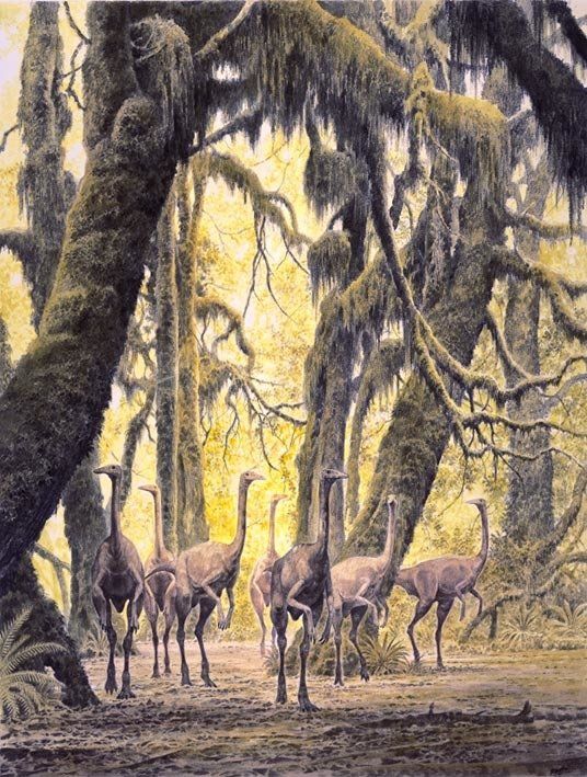 Cretaceous forest, acrílico,  alosaurio,  ámbar,  amonita,  anfibios,  anquilosaurio,  Apatosaurio arenisca,  arqueopterix,  art for sale, belemnita,  biología, biology,  caliza,  Carbon, carbonífero, cavernario,  ciprés, conífera, coprolito,  cretáceo,  Cretácico,  dientes, dinosaurio,  dinosaurus,  dinoterio,  diplodoco,  diplodocus, edad geológica,  eoceno estegosaurio, forest, fósil,  Fosilizado.  geología,  geólogo, geology,  gliptodonte,  helecho,  huesos,  Ichthyosauria ictiosaurio, ignita iguanodonte,  illustration,  illustrator,  ilustración,  jungle,  Jurásico Jurassic,  mamut,  mastodonte, oleo,  Orginal Artwork,  paleo botánica, paleo botany,  paleoart,  paleobotánica,  Paleontología,  paleontólogo,  paleozoología, palustre, pencil art,  Permicodevonico,  plesiosaurio, plioceno,  pliosaur,  prehistoria,  prehistórico,  pterodáctilo,  pterosaurio,  raíces,  reptiles,  sauropodo,  secuoya, struthiominus,  swamp,  terópodo, tetrápodo, tiranosaurio,  Triásico, Triassic, triceratops,  Tyrannosaurus rex, vertebrado,  yacimiento,  devonico, carbonifero, permico, 