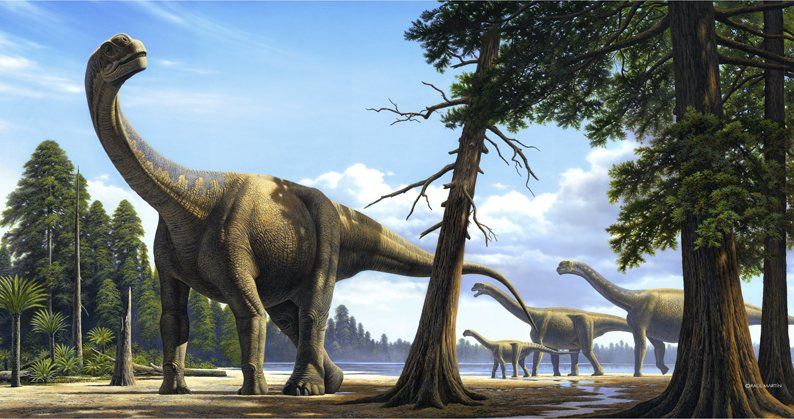 Camarasaurus, acrílico,  alosaurio,  ámbar,  amonita,  anfibios,  anquilosaurio,  Apatosaurio arenisca,  arqueopterix,  art for sale, belemnita,  biología, biology,  caliza,  Carbon, carbonífero, cavernario,  ciprés, conífera, coprolito,  cretáceo,  Cretácico,  dientes, dinosaurio,  dinosaurus,  dinoterio,  diplodoco,  diplodocus, edad geológica,  eoceno estegosaurio, forest, fósil,  Fosilizado.  geología,  geólogo, geology,  gliptodonte,  helecho,  huesos,  Ichthyosauria ictiosaurio, ignita iguanodonte,  illustration,  illustrator,  ilustración,  jungle,  Jurásico Jurassic,  mamut,  mastodonte, oleo,  Orginal Artwork,  paleo botánica, paleo botany,  paleoart,  paleobotánica,  Paleontología,  paleontólogo,  paleozoología, palustre, pencil art,  Permicodevonico,  plesiosaurio, plioceno,  pliosaur,  prehistoria,  prehistórico,  pterodáctilo,  pterosaurio,  raíces,  reptiles,  sauropodo,  secuoya, struthiominus,  swamp,  terópodo, tetrápodo, tiranosaurio,  Triásico, Triassic, triceratops,  Tyrannosaurus rex, vertebrado,  yacimiento,  devonico, carbonifero, permico, 