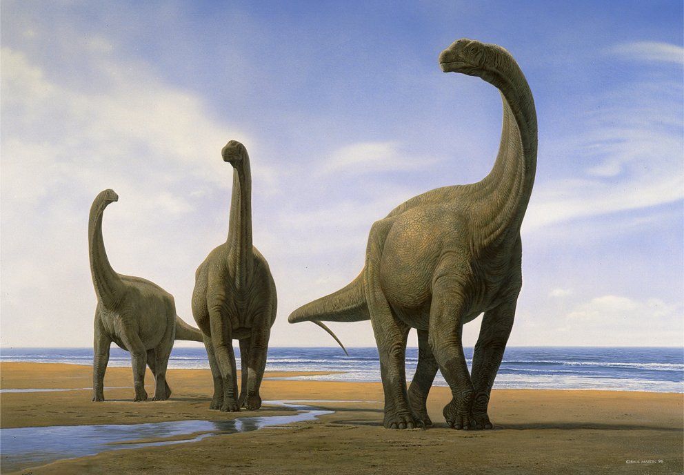 Camarosaurus, acrílico,  alosaurio,  ámbar,  amonita,  anfibios,  anquilosaurio,  Apatosaurio arenisca,  arqueopterix,  art for sale, belemnita,  biología, biology,  caliza,  Carbon, carbonífero, cavernario,  ciprés, conífera, coprolito,  cretáceo,  Cretácico,  dientes, dinosaurio,  dinosaurus,  dinoterio,  diplodoco,  diplodocus, edad geológica,  eoceno estegosaurio, forest, fósil,  Fosilizado.  geología,  geólogo, geology,  gliptodonte,  helecho,  huesos,  Ichthyosauria ictiosaurio, ignita iguanodonte,  illustration,  illustrator,  ilustración,  jungle,  Jurásico Jurassic,  mamut,  mastodonte, oleo,  Orginal Artwork,  paleo botánica, paleo botany,  paleoart,  paleobotánica,  Paleontología,  paleontólogo,  paleozoología, palustre, pencil art,  Permicodevonico,  plesiosaurio, plioceno,  pliosaur,  prehistoria,  prehistórico,  pterodáctilo,  pterosaurio,  raíces,  reptiles,  sauropodo,  secuoya, struthiominus,  swamp,  terópodo, tetrápodo, tiranosaurio,  Triásico, Triassic, triceratops,  Tyrannosaurus rex, vertebrado,  yacimiento,  devonico, carbonifero, permico, 