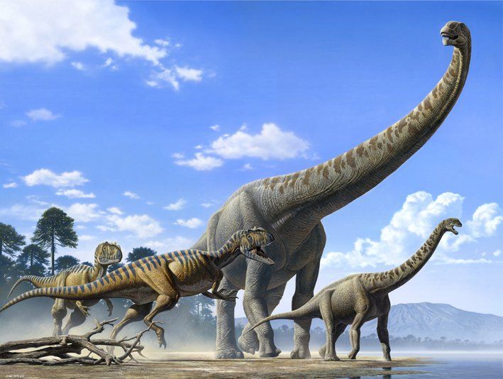 Chuanjiesaurus & Yangchuanosaurus