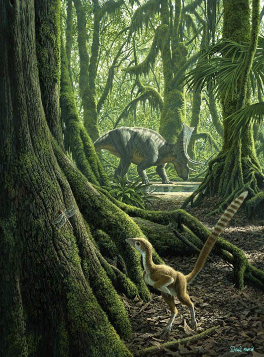 Hesperonychus & Chasmosaurus