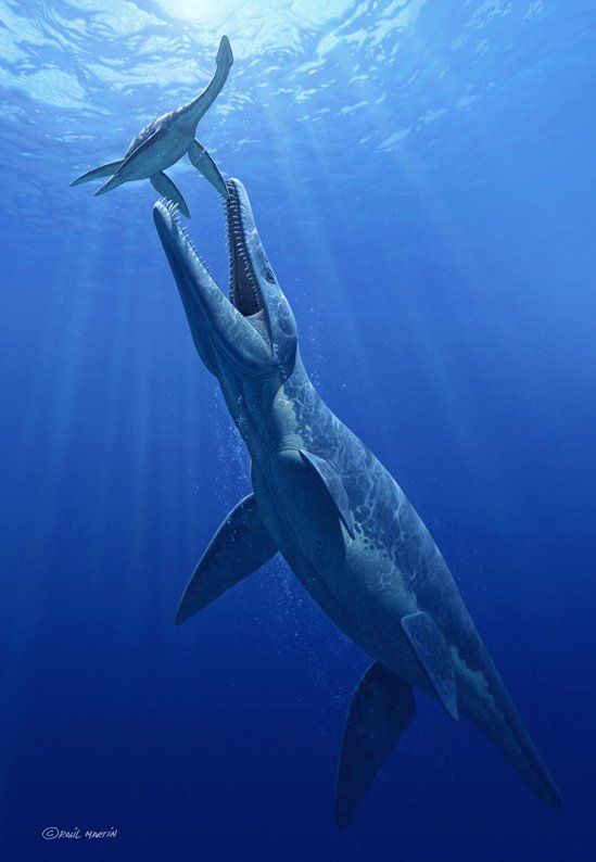Gigant pliosaur