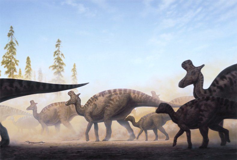 Lambeosaurus, acrílico,  alosaurio,  ámbar,  amonita,  anfibios,  anquilosaurio,  Apatosaurio arenisca,  arqueopterix,  art for sale, belemnita,  biología, biology,  caliza,  Carbon, carbonífero, cavernario,  ciprés, conífera, coprolito,  cretáceo,  Cretácico,  dientes, dinosaurio,  dinosaurus,  dinoterio,  diplodoco,  diplodocus, edad geológica,  eoceno estegosaurio, forest, fósil,  Fosilizado.  geología,  geólogo, geology,  gliptodonte,  helecho,  huesos,  Ichthyosauria ictiosaurio, ignita iguanodonte,  illustration,  illustrator,  ilustración,  jungle,  Jurásico Jurassic,  mamut,  mastodonte, oleo,  Orginal Artwork,  paleo botánica, paleo botany,  paleoart,  paleobotánica,  Paleontología,  paleontólogo,  paleozoología, palustre, pencil art,  Permicodevonico,  plesiosaurio, plioceno,  pliosaur,  prehistoria,  prehistórico,  pterodáctilo,  pterosaurio,  raíces,  reptiles,  sauropodo,  secuoya, struthiominus,  swamp,  terópodo, tetrápodo, tiranosaurio,  Triásico, Triassic, triceratops,  Tyrannosaurus rex, vertebrado,  yacimiento,  devonico, carbonifero, permico, 