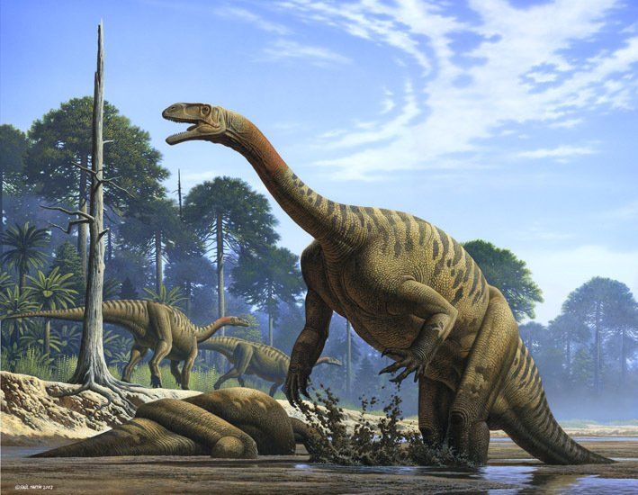 Plateosaurus  acrílico,  alosaurio,  ámbar,  amonita,  anfibios,  anquilosaurio,  Apatosaurio arenisca,  arqueopterix,  art for sale, belemnita,  biología, biology,  caliza,  Carbon, carbonífero, cavernario,  ciprés, conífera, coprolito,  cretáceo,  Cretácico,  dientes, dinosaurio,  dinosaurus,  dinoterio,  diplodoco,  diplodocus, edad geológica,  eoceno estegosaurio, forest, fósil,  Fosilizado.  geología,  geólogo, geology,  gliptodonte,  helecho,  huesos,  Ichthyosauria ictiosaurio, ignita iguanodonte,  illustration,  illustrator,  ilustración,  jungle,  Jurásico Jurassic,  mamut,  mastodonte, oleo,  Orginal Artwork,  paleo botánica, paleo botany,  paleoart,  paleobotánica,  Paleontología,  paleontólogo,  paleozoología, palustre, pencil art,  Permicodevonico,  plesiosaurio, plioceno,  pliosaur,  prehistoria,  prehistórico,  pterodáctilo,  pterosaurio,  raíces,  reptiles,  sauropodo,  secuoya, struthiominus,  swamp,  terópodo, tetrápodo, tiranosaurio,  Triásico, Triassic, triceratops,  Tyrannosaurus rex, vertebrado,  yacimiento,  devonico, carbonifero, permico, 