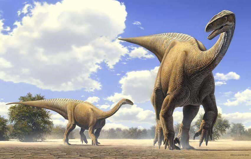 Plateosaurus, acrílico,  alosaurio,  ámbar,  amonita,  anfibios,  anquilosaurio,  Apatosaurio arenisca,  arqueopterix,  art for sale, belemnita,  biología, biology,  caliza,  Carbon, carbonífero, cavernario,  ciprés, conífera, coprolito,  cretáceo,  Cretácico,  dientes, dinosaurio,  dinosaurus,  dinoterio,  diplodoco,  diplodocus, edad geológica,  eoceno estegosaurio, forest, fósil,  Fosilizado.  geología,  geólogo, geology,  gliptodonte,  helecho,  huesos,  Ichthyosauria ictiosaurio, ignita iguanodonte,  illustration,  illustrator,  ilustración,  jungle,  Jurásico Jurassic,  mamut,  mastodonte, oleo,  Orginal Artwork,  paleo botánica, paleo botany,  paleoart,  paleobotánica,  Paleontología,  paleontólogo,  paleozoología, palustre, pencil art,  Permicodevonico,  plesiosaurio, plioceno,  pliosaur,  prehistoria,  prehistórico,  pterodáctilo,  pterosaurio,  raíces,  reptiles,  sauropodo,  secuoya, struthiominus,  swamp,  terópodo, tetrápodo, tiranosaurio,  Triásico, Triassic, triceratops,  Tyrannosaurus rex, vertebrado,  yacimiento,  devonico, carbonifero, permico, 