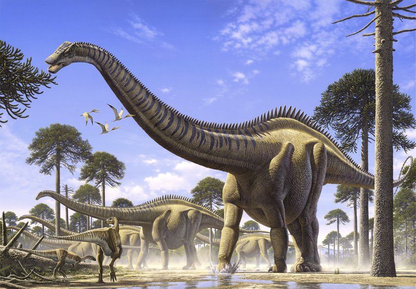 Supersaurus, acrílico,  alosaurio,  ámbar,  amonita,  anfibios,  anquilosaurio,  Apatosaurio arenisca,  arqueopterix,  art for sale, belemnita,  biología, biology,  caliza,  Carbon, carbonífero, cavernario,  ciprés, conífera, coprolito,  cretáceo,  Cretácico,  dientes, dinosaurio,  dinosaurus,  dinoterio,  diplodoco,  diplodocus, edad geológica,  eoceno estegosaurio, forest, fósil,  Fosilizado.  geología,  geólogo, geology,  gliptodonte,  helecho,  huesos,  Ichthyosauria ictiosaurio, ignita iguanodonte,  illustration,  illustrator,  ilustración,  jungle,  Jurásico Jurassic,  mamut,  mastodonte, oleo,  Orginal Artwork,  paleo botánica, paleo botany,  paleoart,  paleobotánica,  Paleontología,  paleontólogo,  paleozoología, palustre, pencil art,  Permicodevonico,  plesiosaurio, plioceno,  pliosaur,  prehistoria,  prehistórico,  pterodáctilo,  pterosaurio,  raíces,  reptiles,  sauropodo,  secuoya, struthiominus,  swamp,  terópodo, tetrápodo, tiranosaurio,  Triásico, Triassic, triceratops,  Tyrannosaurus rex, vertebrado,  yacimiento,  devonico, carbonifero, permico, 