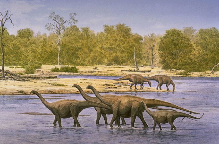 Titanosaurus, acrílico,  alosaurio,  ámbar,  amonita,  anfibios,  anquilosaurio,  Apatosaurio arenisca,  arqueopterix,  art for sale, belemnita,  biología, biology,  caliza,  Carbon, carbonífero, cavernario,  ciprés, conífera, coprolito,  cretáceo,  Cretácico,  dientes, dinosaurio,  dinosaurus,  dinoterio,  diplodoco,  diplodocus, edad geológica,  eoceno estegosaurio, forest, fósil,  Fosilizado.  geología,  geólogo, geology,  gliptodonte,  helecho,  huesos,  Ichthyosauria ictiosaurio, ignita iguanodonte,  illustration,  illustrator,  ilustración,  jungle,  Jurásico Jurassic,  mamut,  mastodonte, oleo,  Orginal Artwork,  paleo botánica, paleo botany,  paleoart,  paleobotánica,  Paleontología,  paleontólogo,  paleozoología, palustre, pencil art,  Permicodevonico,  plesiosaurio, plioceno,  pliosaur,  prehistoria,  prehistórico,  pterodáctilo,  pterosaurio,  raíces,  reptiles,  sauropodo,  secuoya, struthiominus,  swamp,  terópodo, tetrápodo, tiranosaurio,  Triásico, Triassic, triceratops,  Tyrannosaurus rex, vertebrado,  yacimiento,  devonico, carbonifero, permico, 