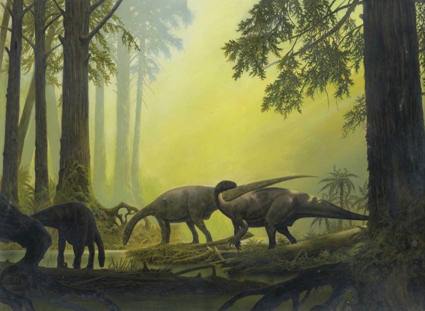 Centrosaurios, acrílico,  alosaurio,  ámbar,  amonita,  anfibios,  anquilosaurio,  Apatosaurio arenisca,  arqueopterix,  art for sale, belemnita,  biología, biology,  caliza,  Carbon, carbonífero, cavernario,  ciprés, conífera, coprolito,  cretáceo,  Cretácico,  dientes, dinosaurio,  dinosaurus,  dinoterio,  diplodoco,  diplodocus, edad geológica,  eoceno estegosaurio, forest, fósil,  Fosilizado.  geología,  geólogo, geology,  gliptodonte,  helecho,  huesos,  Ichthyosauria ictiosaurio, ignita iguanodonte,  illustration,  illustrator,  ilustración,  jungle,  Jurásico Jurassic,  mamut,  mastodonte, oleo,  Orginal Artwork,  paleo botánica, paleo botany,  paleoart,  paleobotánica,  Paleontología,  paleontólogo,  paleozoología, palustre, pencil art,  Permicodevonico,  plesiosaurio, plioceno,  pliosaur,  prehistoria,  prehistórico,  pterodáctilo,  pterosaurio,  raíces,  reptiles,  sauropodo,  secuoya, struthiominus,  swamp,  terópodo, tetrápodo, tiranosaurio,  Triásico, Triassic, triceratops,  Tyrannosaurus rex, vertebrado,  yacimiento,  devonico, carbonifero, permico, 
