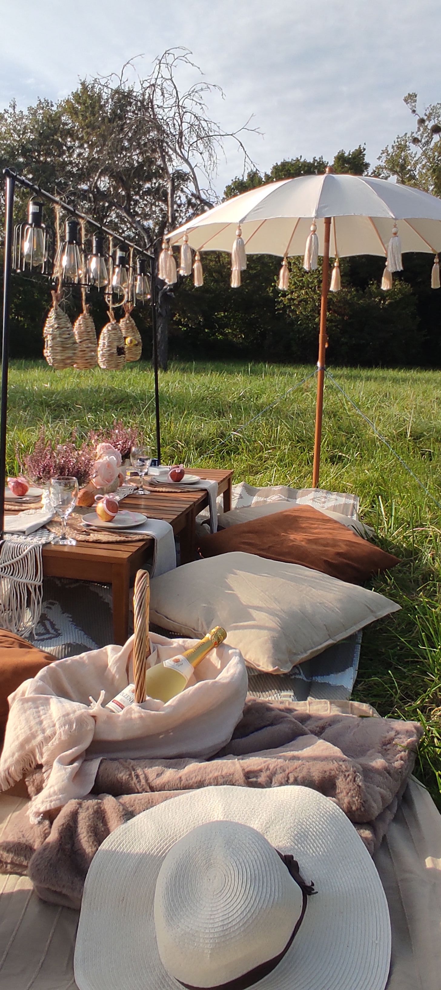 JGA Picknick Boho:
Dekoratiertes Picknick am Mehlemer Strand mit Blumen, Teppichen und Picknicktisch.