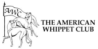 The American Whippet Club