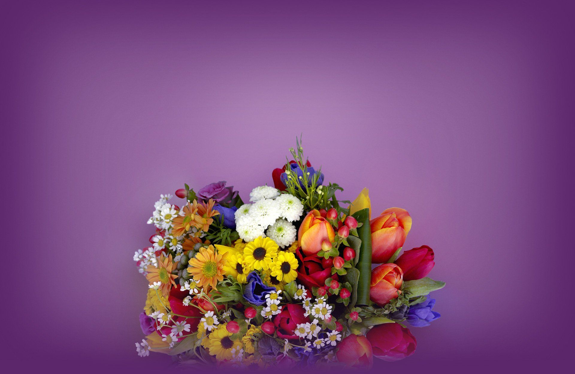Floristeria Coquiflo, floristerías en Madrid