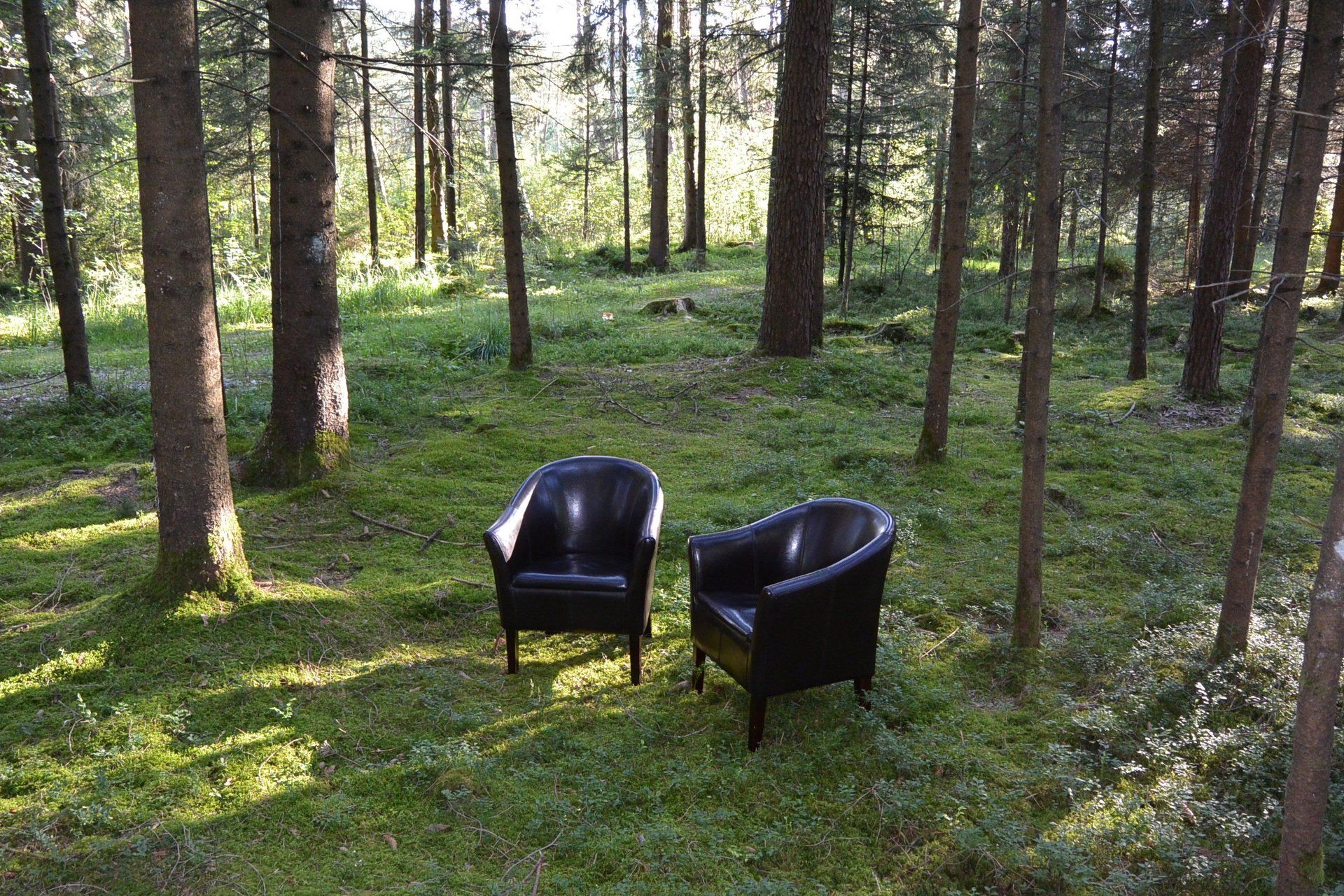 Persönlichkeits-Coaching in der Natur