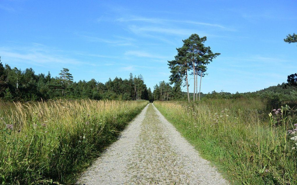 Coaching, Orientierung in der Toskana