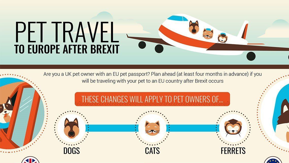 A guide to travel within the EU for UK pet owners