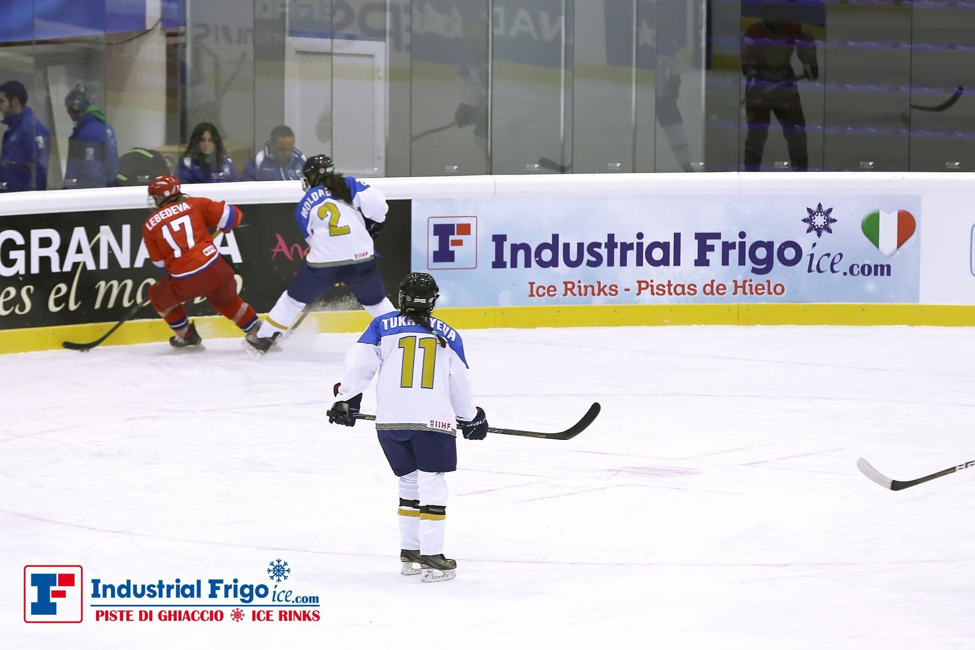 Ice Hockey & Curling Rinks