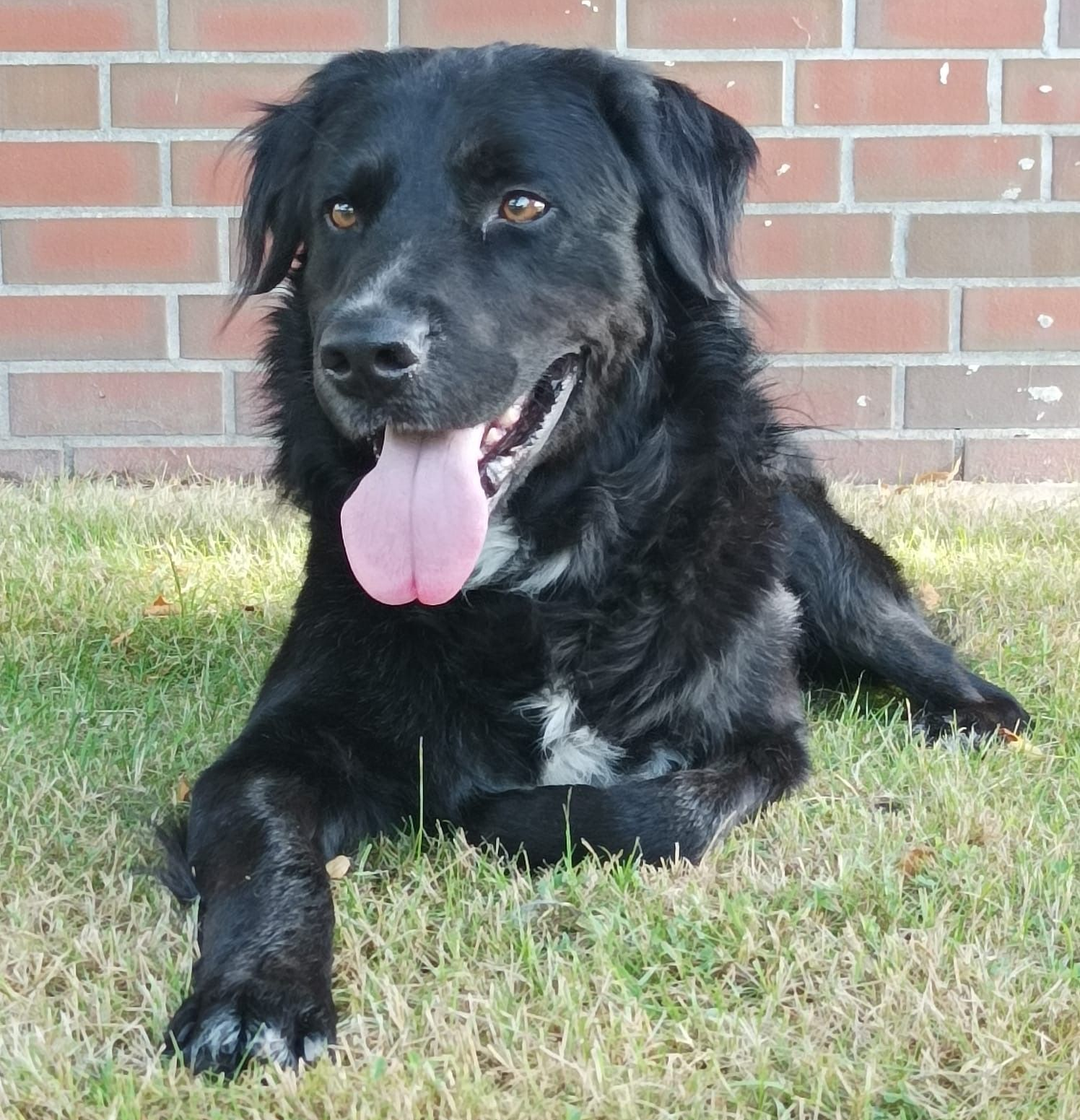 Mo (2018–heute) – Begleiter bei Futter-Fokus